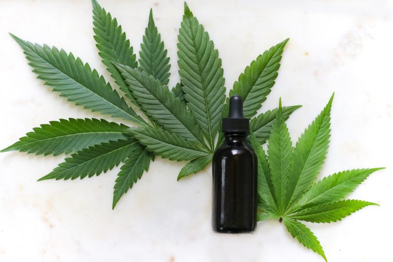 cbd and leaf