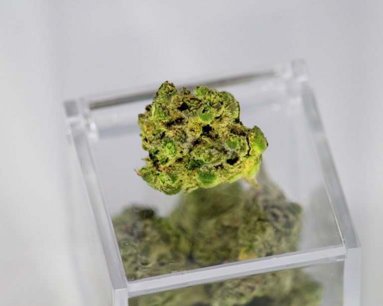 Medical Marijuana