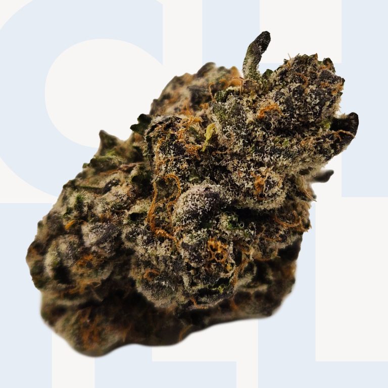 Platinum Reserve: Sherbet Cream (38% THC)