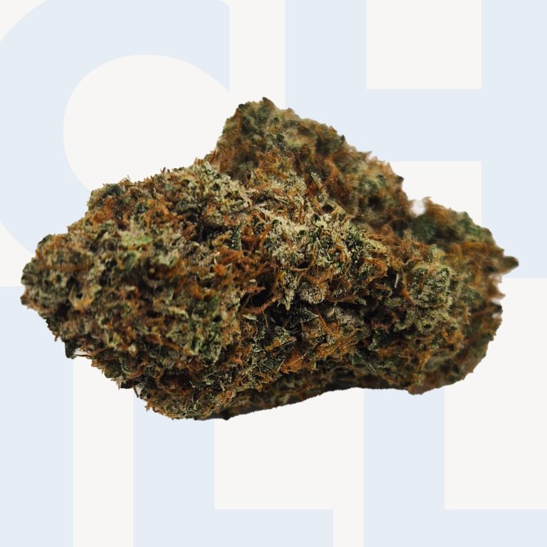 Platinum Reserve: Jet Fuel OG (36% THC)